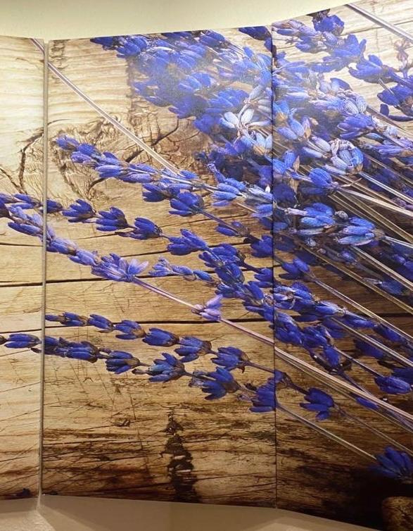 Pension Lavendel Harztor Zewnętrze zdjęcie